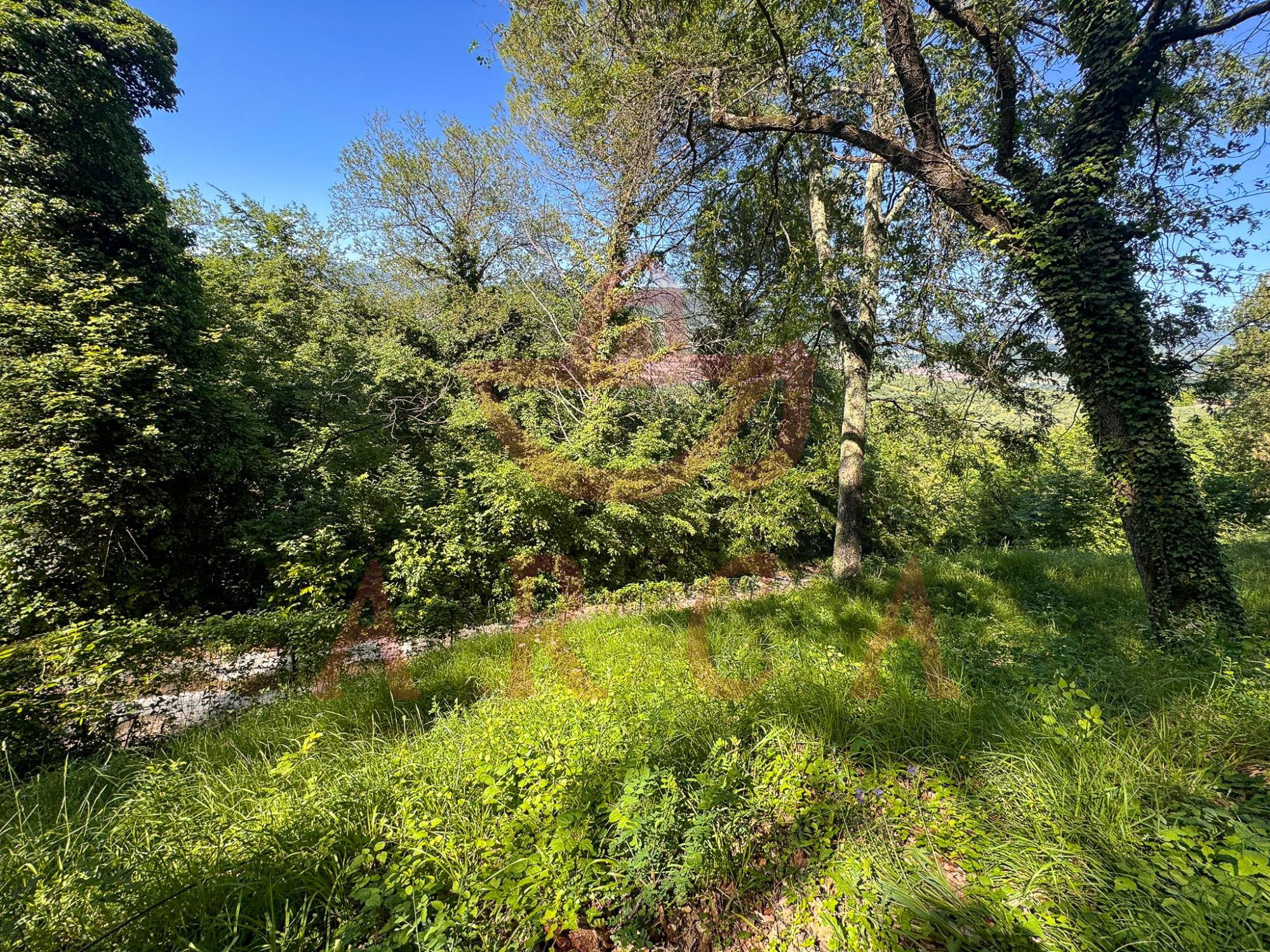 Località San Prugnano